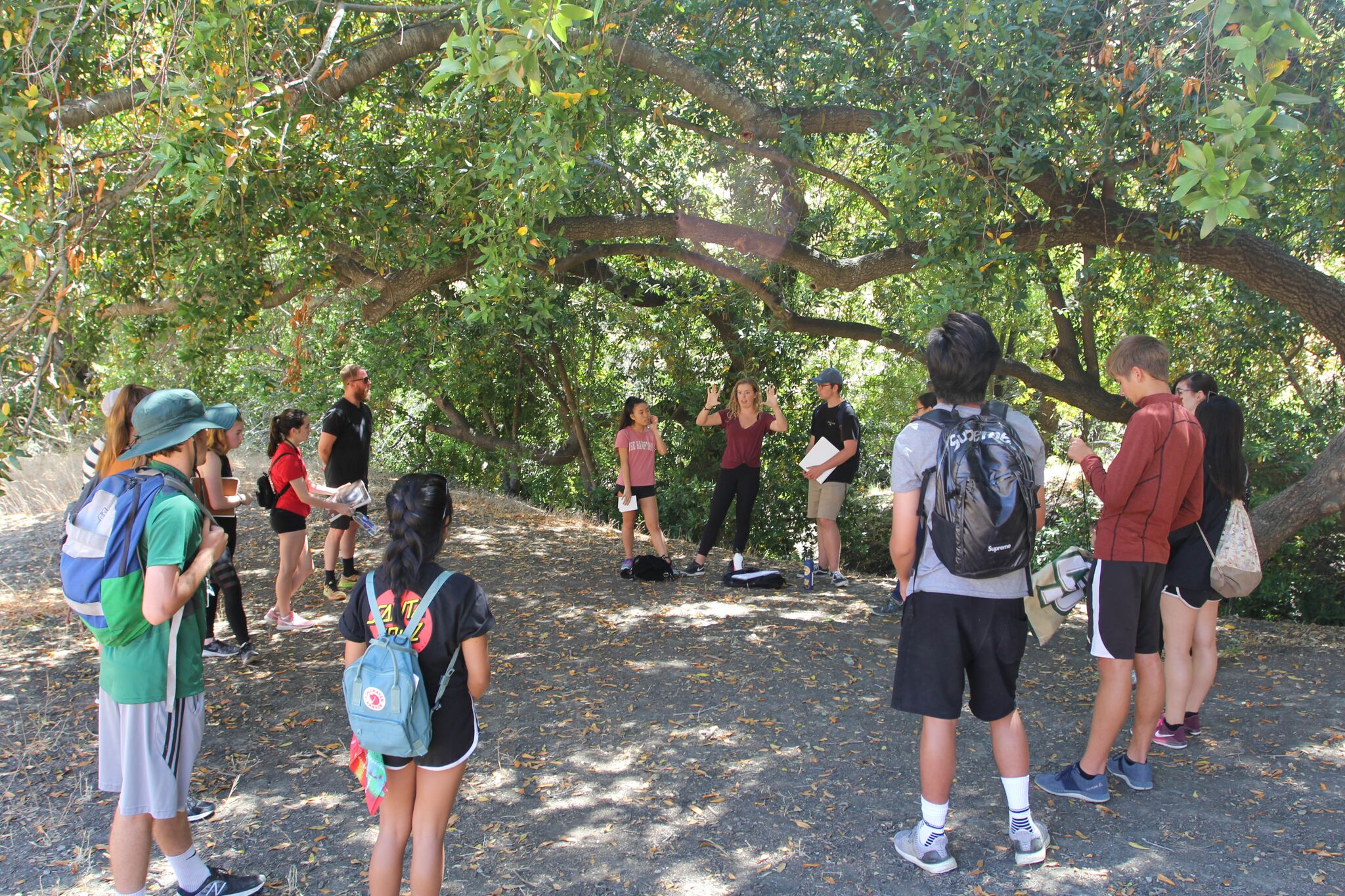 students in poly canyon
