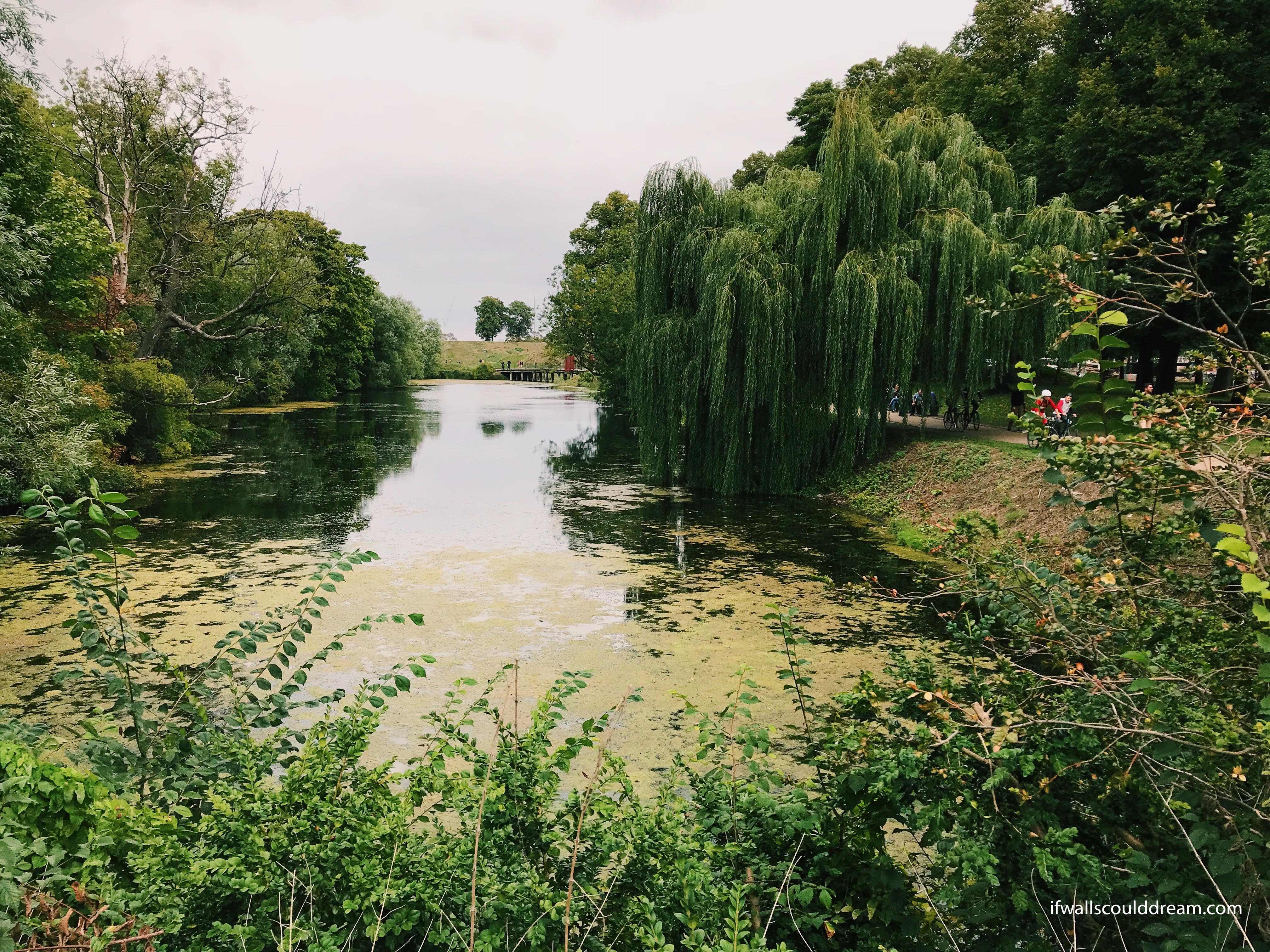 greenery