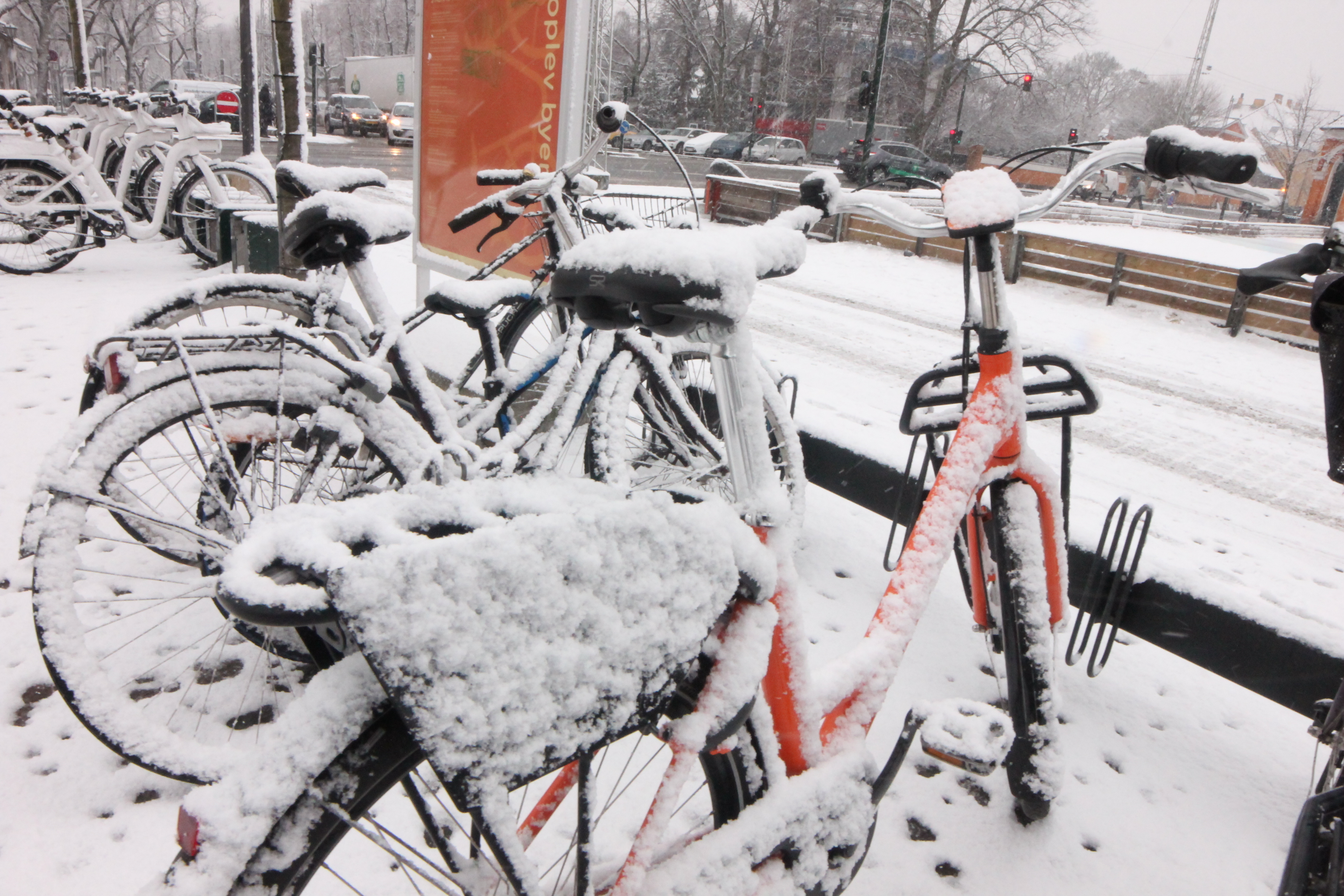 snowy bike